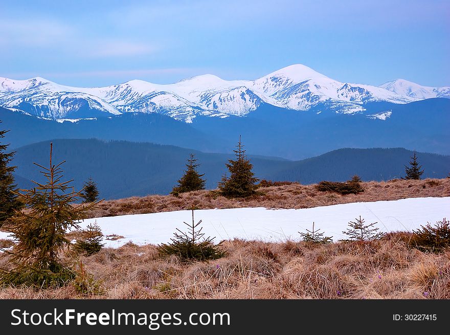 Spring landscape. Snow-capped mountains. Spring landscape. Snow-capped mountains