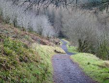 Footpath In Glenariff Forest Park Royalty Free Stock Image Footpath In Glenariff Forest Park Royalty Free Stock Image