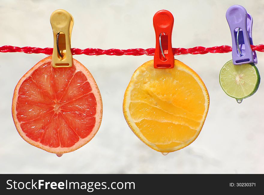 A slice of grapefruit,orange,and lime hanging on a clothes-line with colourful clothes-pins..juicy droplets at bottom of each fruit slice. A slice of grapefruit,orange,and lime hanging on a clothes-line with colourful clothes-pins..juicy droplets at bottom of each fruit slice..