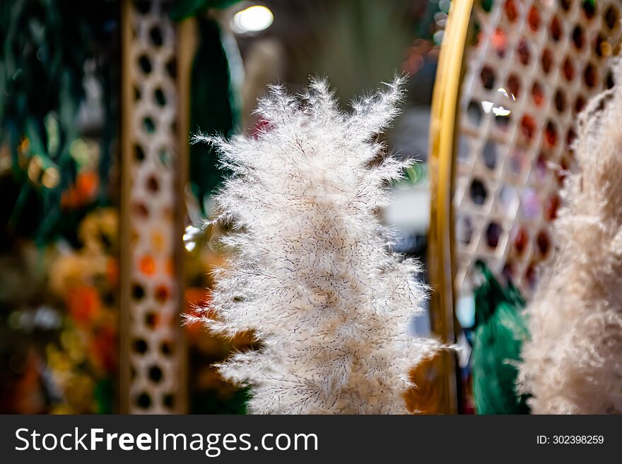 Varieties Of Thai Flowers, On Isolated Blur Background