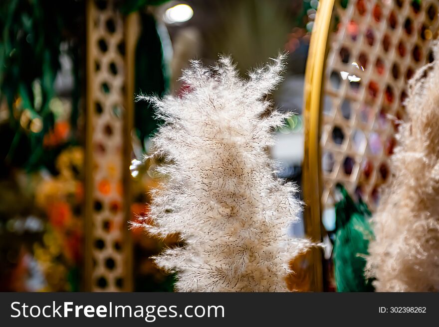 Varieties of Thai flowers, on isolated blur background