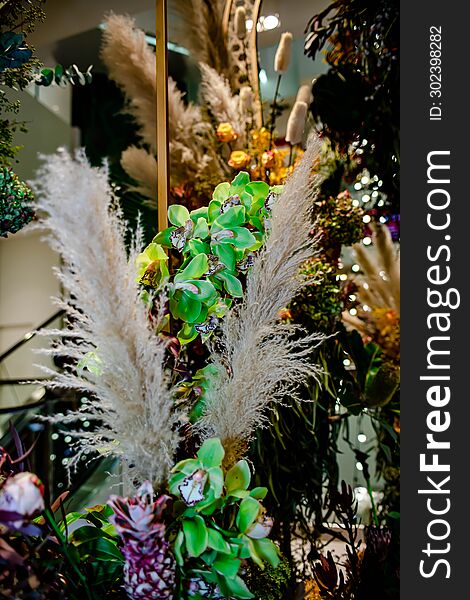 Varieties Of Thai Flowers, On Isolated Blur Background