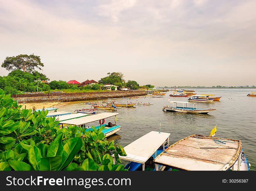 The boats in harbour