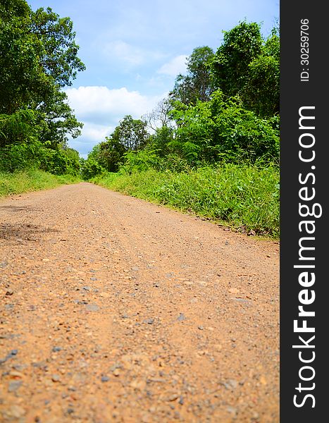 Gravel road along the forest. Gravel road along the forest.