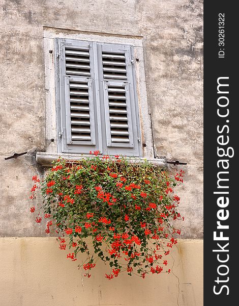 Old window with flowers