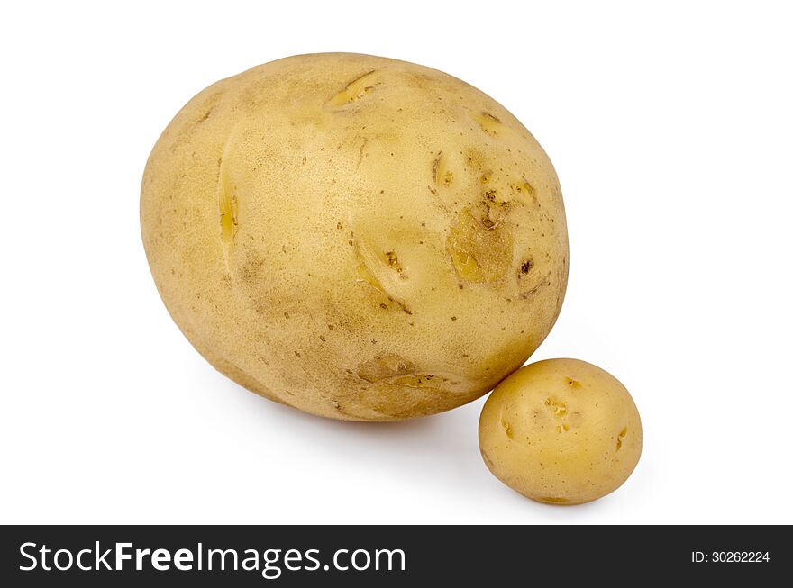 Large size potato on white background with a smaller one to to compare the sizes.