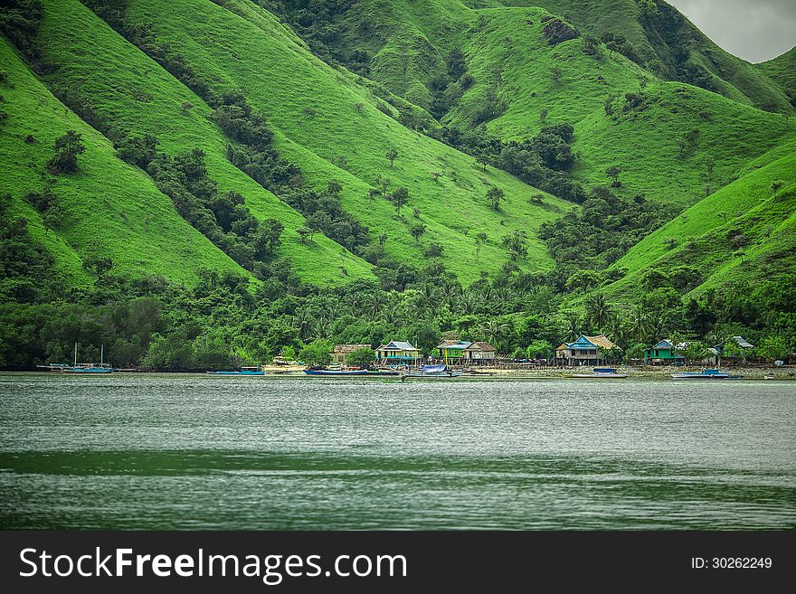 Small village in trees on small Island, Flores, Indonesia. Small village in trees on small Island, Flores, Indonesia