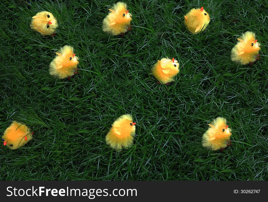 Yellow chicken in green grass for spring decoration. Yellow chicken in green grass for spring decoration