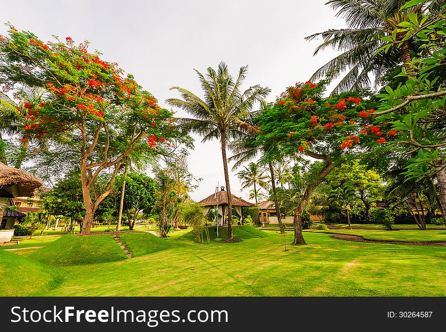 Taken on Indonesia Bali island Kuta.There are some red flower trees on the lawn. Taken on Indonesia Bali island Kuta.There are some red flower trees on the lawn.