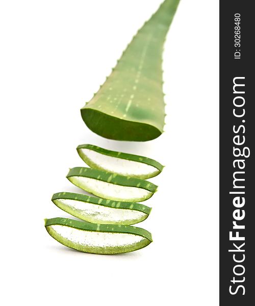 Green Aloe Vera Leaves Isolated