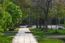 Paving Stone Paths In A Shady Park Overgrown With Plants, Garden In The Early Spring Morning Royalty Free Stock Photos