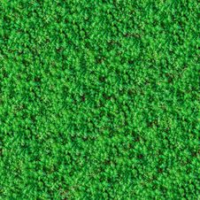Seamless Texture. Green Meadow Grass. Royalty Free Stock Photography Seamless Texture. Green Meadow Grass. Royalty Free Stock Photography