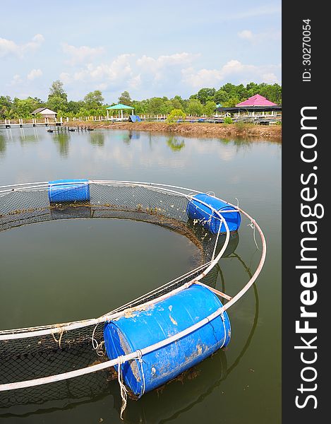 Fish farm with net in pond. Fish farm with net in pond