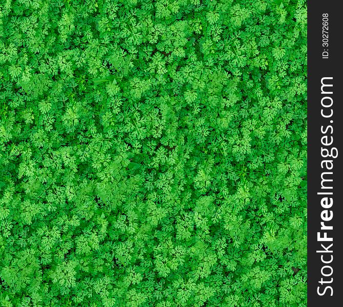 Seamless Tileable Texture of Green Meadow Grass. Seamless Tileable Texture of Green Meadow Grass.