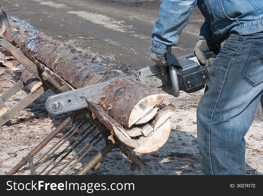 Cutting Wood For Firewood