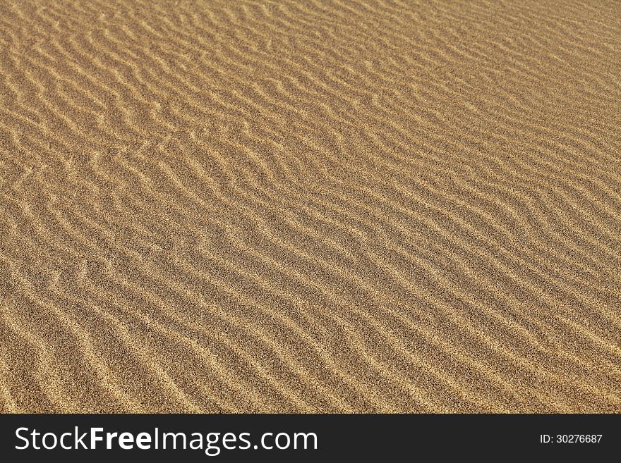 Texture of sand rippled with the wind. Texture of sand rippled with the wind