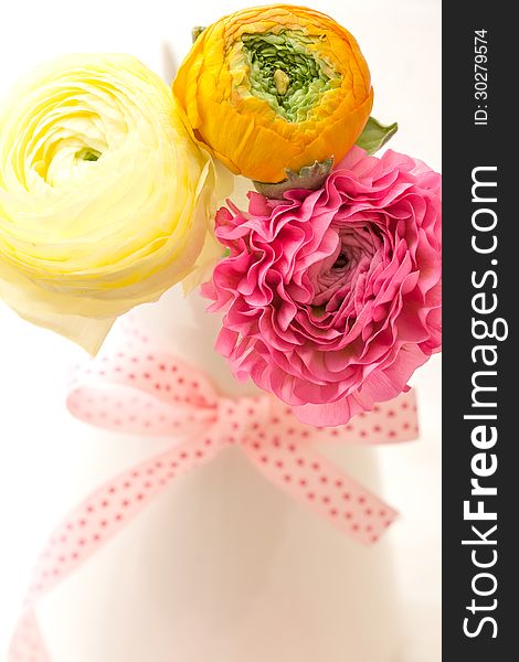 Pink and yellow Ranunculus