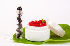 Black And Red Currant Cosmetics Royalty Free Stock Image Black And Red Currant Cosmetics Royalty Free Stock Image