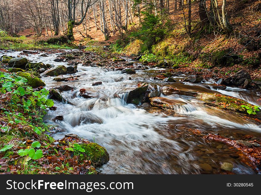 Mountain river in fall forest with red yellow leafs and green grass in evening. Mountain river in fall forest with red yellow leafs and green grass in evening