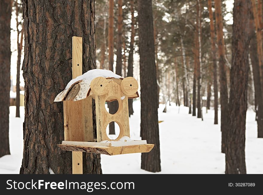 Feeder for squirrels and birds in the winter woods.