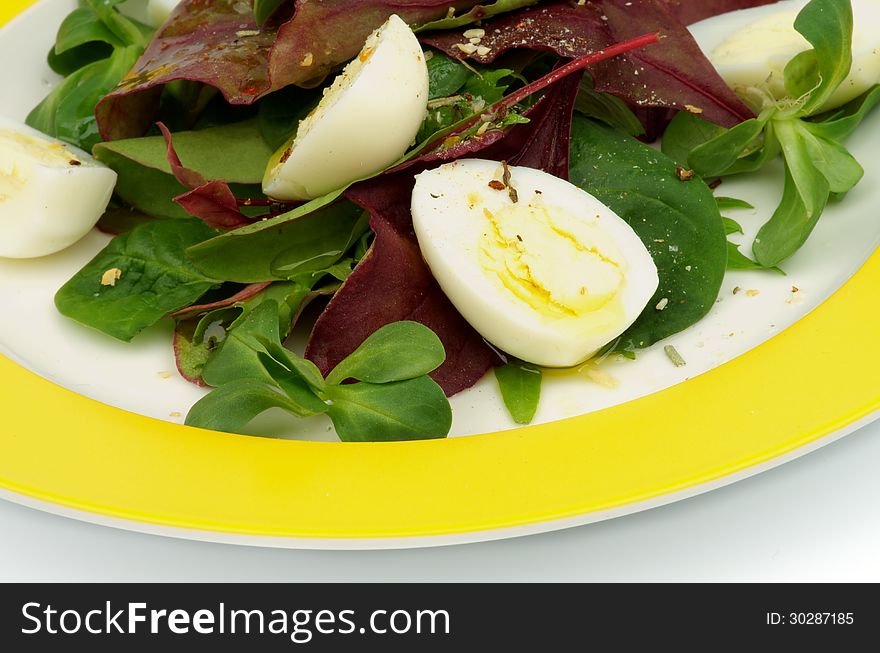 Greens Salad with Chard, Quail Eggs and Corn Salad on Yellow Plate closeup