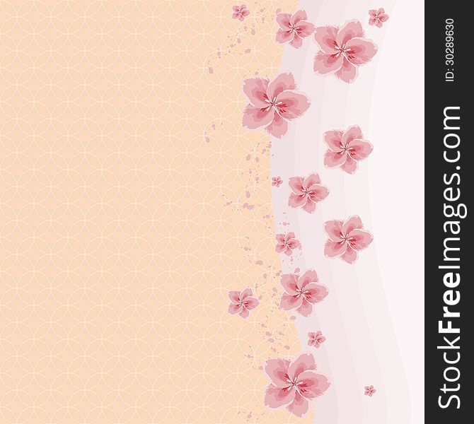 Background with cherry flowers and a place for an inscription. Background with cherry flowers and a place for an inscription