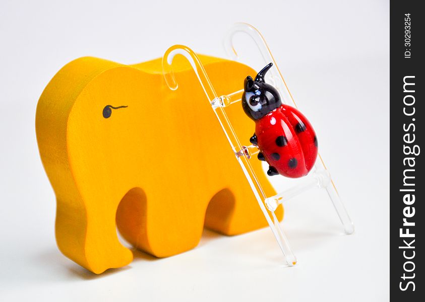 Colorful ladybug climbing an elephant