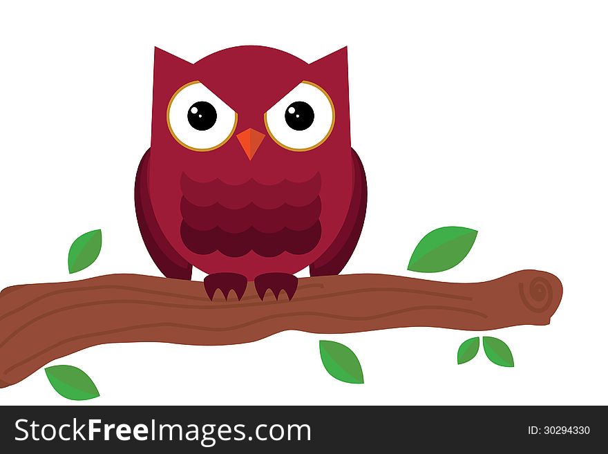 Owl sitting on branch on white background. Owl sitting on branch on white background