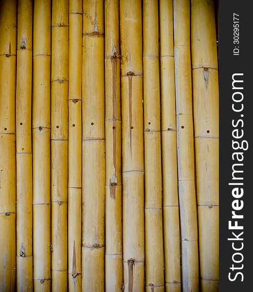 Bamboo wall