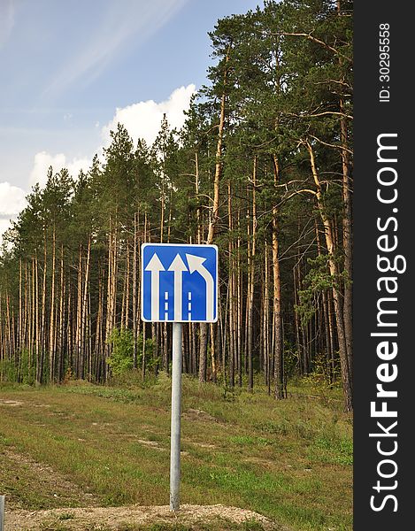 A road sign in a forest.