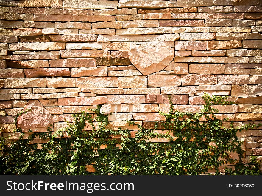 Brown rock brick wall with climber plant. Brown rock brick wall with climber plant