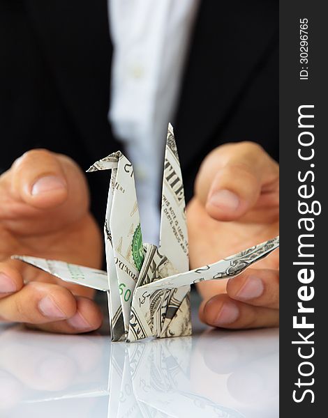 Hand Holding Origami Paper Cranes