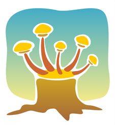 Mushrooms On A Stub Royalty Free Stock Photo