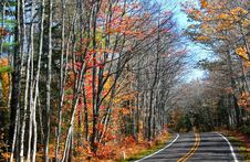 Drive Through Autumn Tree Royalty Free Stock Image Drive Through Autumn Tree Royalty Free Stock Image