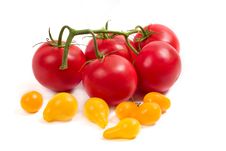 Red And Yellow Tomatoes Stock Photography