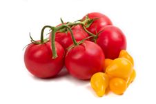 Red And Yellow Tomatoes Royalty Free Stock Photo Red And Yellow Tomatoes Royalty Free Stock Photo