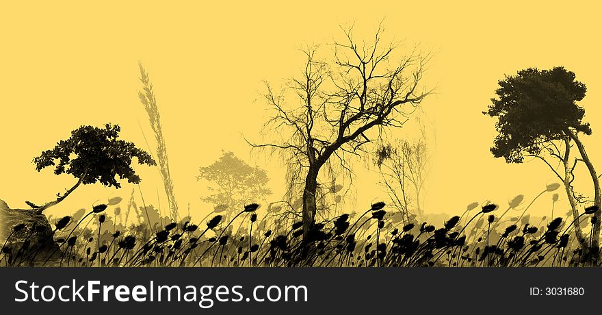 Vector trees - autumn - tropical forest