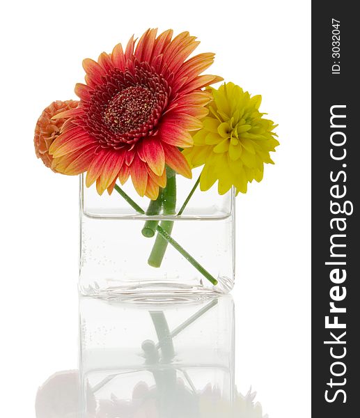 Colorful flowers in a glass over white background