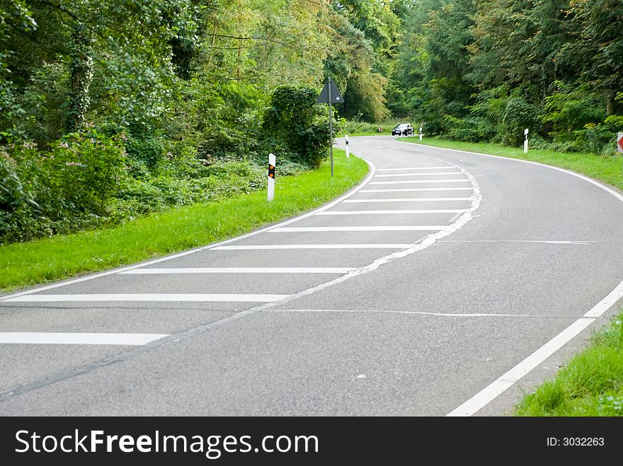 Forest road in the summer