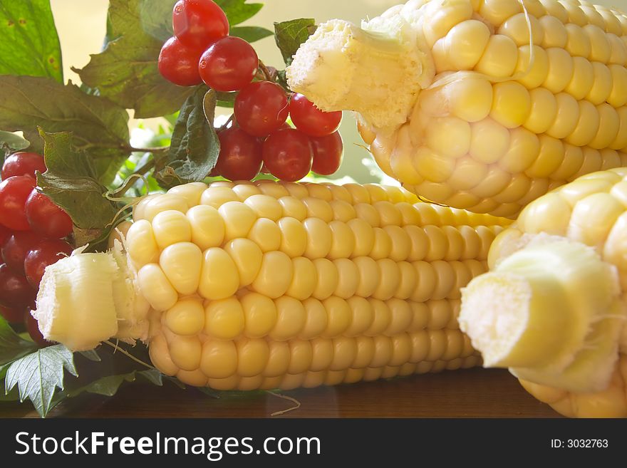 Fresh Corn