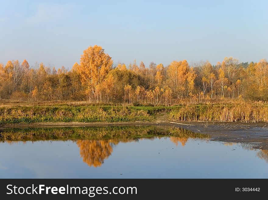 Golden autumn forest on the river bank