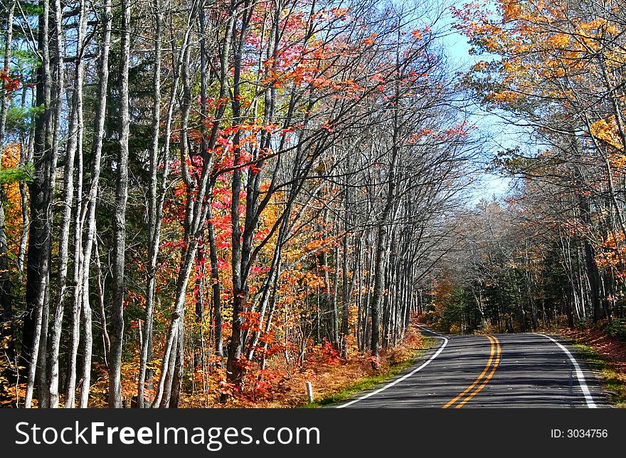 Scenic drive through autumn trees at the end of autumn time