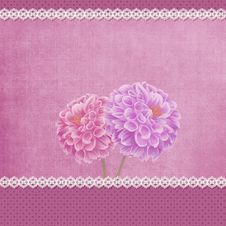 Floral Greeting Card Stock Images Floral Greeting Card Stock Images