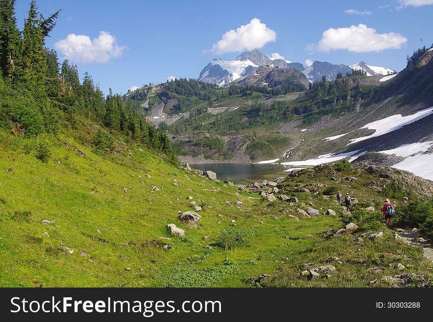 Mount Baker National Forest