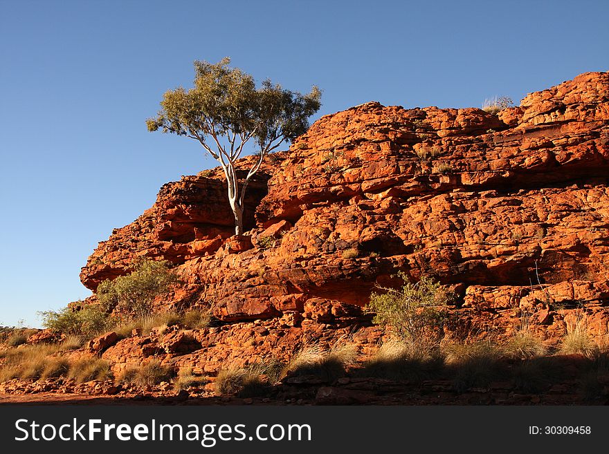 Kings Canyon landscape in the Australian Outback. Kings Canyon landscape in the Australian Outback