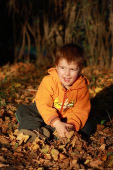 Little Boy Playing Stock Photography Little Boy Playing Stock Photography