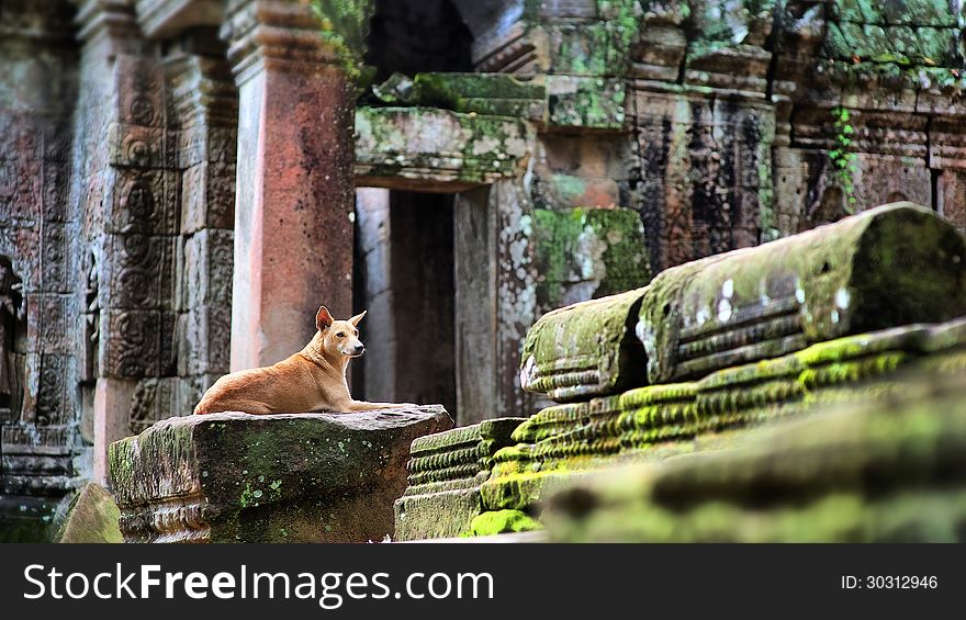 Angkor Wat Temple at Siem Reap in Cambodia.