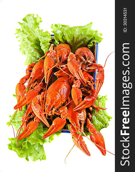Boiled lobsters on a dish with salad. Boiled lobsters on a dish with salad