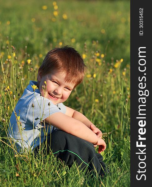 Little boy laughing sitting in the grass