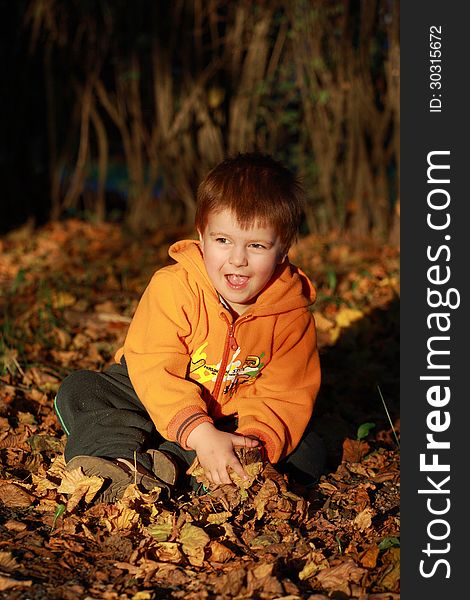 Little boy playing with leaves in the park